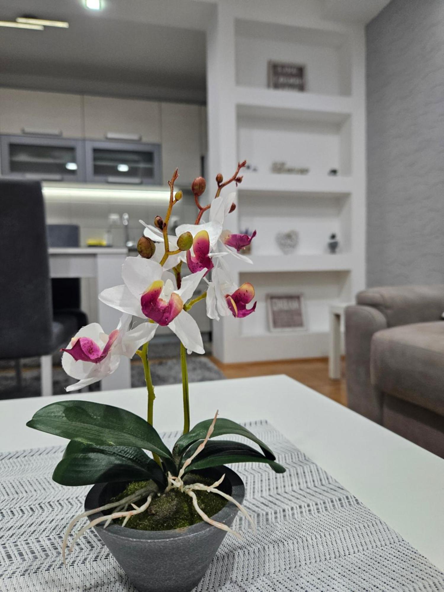 Apartman Vukota Pirot Exteriör bild
